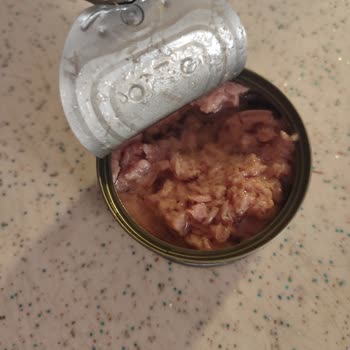 Superfresh Ton Balığında Kalite Sorunu Ve Güven Kaybı