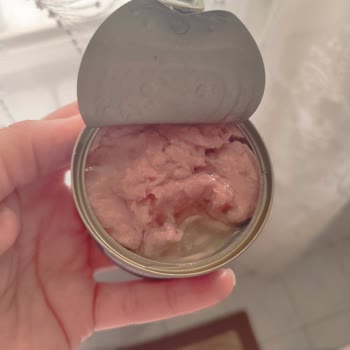 Superfresh Ton Balığında Kalite Sorunu Ve Güven Kaybı