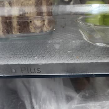 Yeni Alınan Siemens Buzdolabında Geçmeyen Beyaz Leke Sorunu