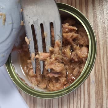 Fide Ton Balığında Kötü Koku Ve Yabancı Maddeler, Sağlığımız Risk Altında