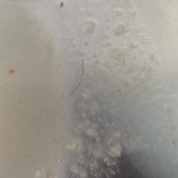 Hazır Çorbada Yoğun Kıl Çıkması Hijyen Şokunu Yaşattı