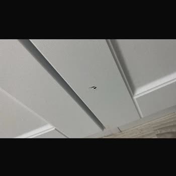 Capella Home İlgisizliği!