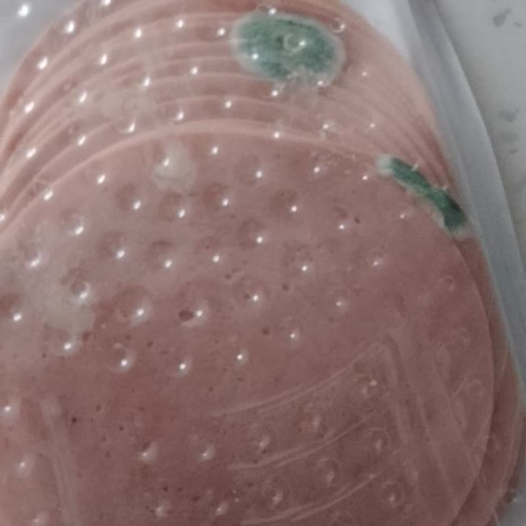 Son Kullanma Tarihi Geçmemiş Salamda Yeşil Küf Oluştu