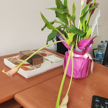 Siparişimdeki Çiçek Görselden Farklı Ve Solmuş Şekilde Teslim Edildi