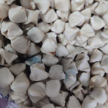 Son Kullanma Tarihi Geçmemiş Mantının Küflü Çıkması