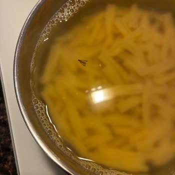 Makaroma Kapalı Makarna Paketinden Ölü Güve Çıkması Hijyen Endişesi Yarattı