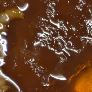 Öncü Salça Yeni Açılan Salça Kutusunda Canlı Kurtlar Görmek Şok Etti