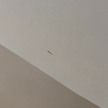 Teslimat Sırasında Yeni Boyanan Bina Duvarları Zarar Gördü