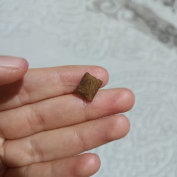 Dreamies Ödül Mamasından Kıl Çıktı