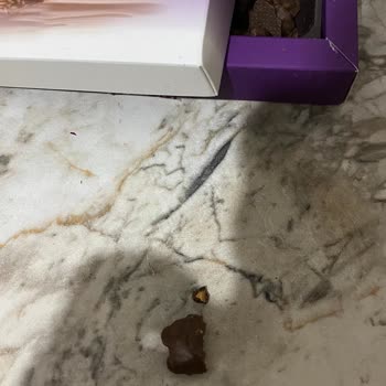 Hazır Çikolatadan Çıkan Ceviz Kabuğu Dişimi Kırdı, Sağlık Masraflarım Karşılanmalı