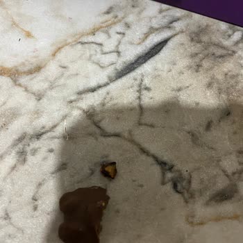 Hazır Çikolatadan Çıkan Ceviz Kabuğu Dişimi Kırdı, Sağlık Masraflarım Karşılanmalı