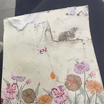 Kırık Vazo Ve Solmuş Çiçekler İçin Destek Alamama Mağduriyeti