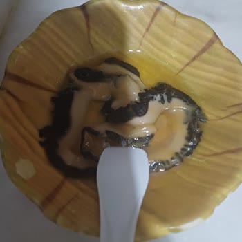 Eki aç