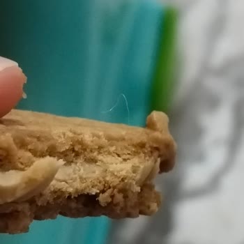 Torku Karamelce Bisküvi İçinden Kıl Çıkması Ve Hijyen Sorunu