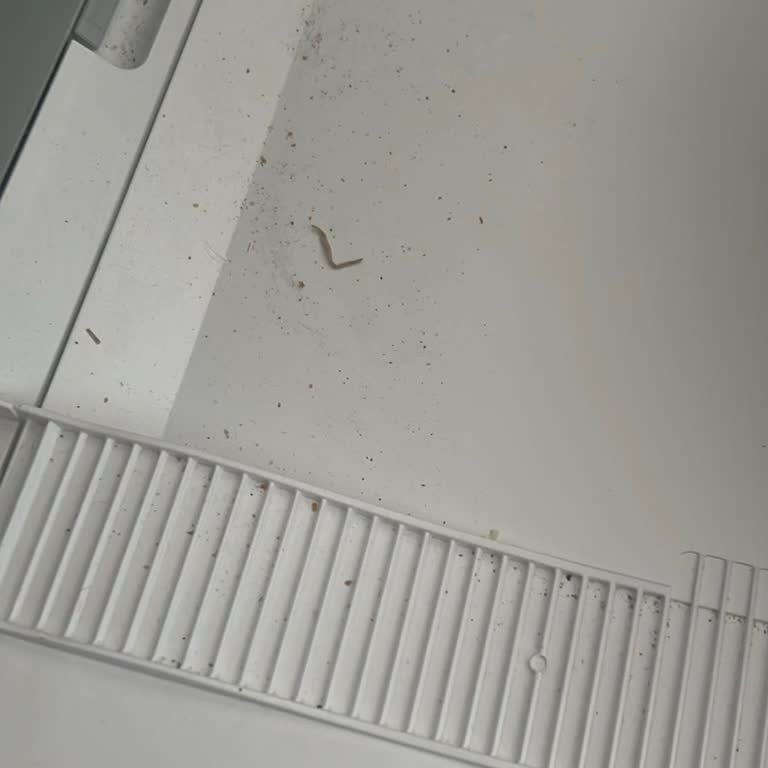 Roborock Q Revo Edge Robot Süpürgede Sürekli Sorunlar Ve Hayal Kırıklığı