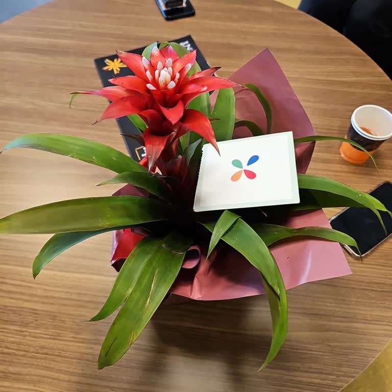 Siparişimde Gelen Çiçek Beklentilerimi Karşılamadı, Güvenim Sarsıldı