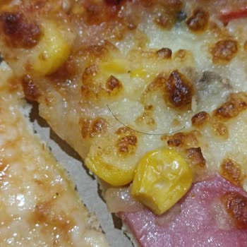 Domino’s Pizza’dan Aldığım Pizzadan Kıl Ve Zımba Teli Çıktı, Ücret İadesi Talebim Reddedildi