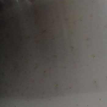 Bosch Ürünlerinde Paslanma Ve Arızalar Mağduriyet Yaşatıyor