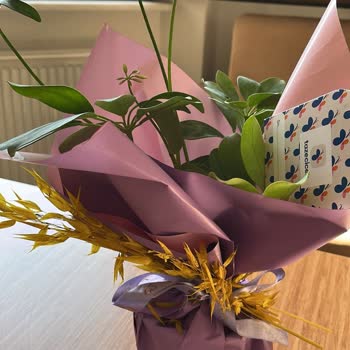 Siparişim Eksik Ve Özensiz Teslim Edildi Mağduriyetimin Giderilmesini İstiyorum