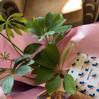 Siparişim Eksik Ve Özensiz Teslim Edildi Mağduriyetimin Giderilmesini İstiyorum