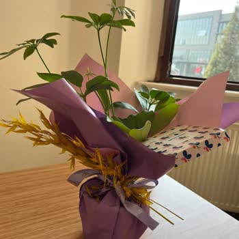 Siparişim Eksik Ve Özensiz Teslim Edildi Mağduriyetimin Giderilmesini İstiyorum