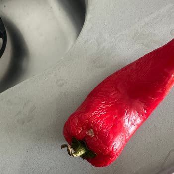 Beko Buzdolabı 6 Aydır Soğutmuyor Servis İlgisiz Ve Mağduriyetim Artıyor