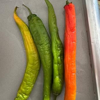 Beko Buzdolabı 6 Aydır Soğutmuyor Servis İlgisiz Ve Mağduriyetim Artıyor