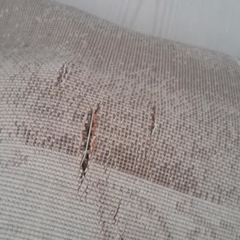 Ertem Halı Yıkama (Beylikdüzü) Halımı Yırtıp Getirdi