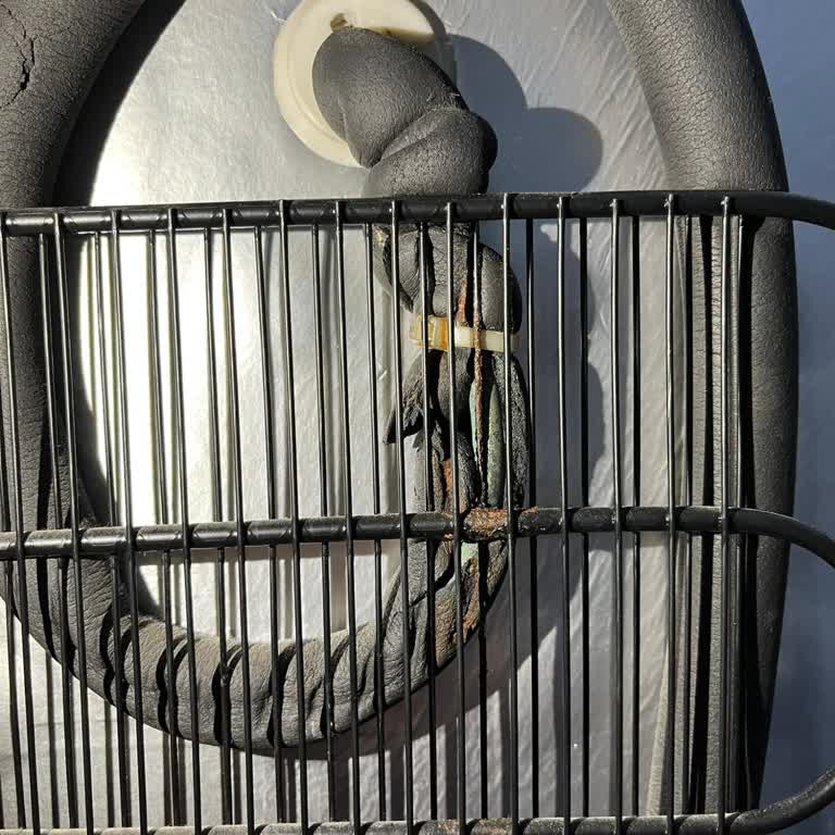 Arçelik Derin Dondurucuda Üretim Hatası Nedeniyle Yüksek Ücretli Motor Arızası