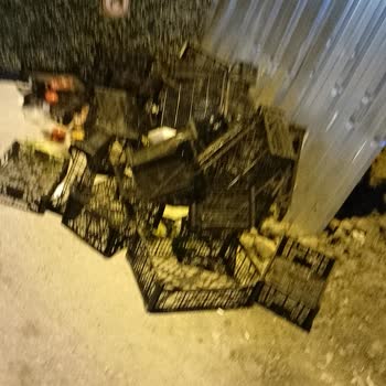 A101 Mağazasında Hijyen Eksikliği Ve İlgisiz Çalışanlar Müşteri Deneyimini Olumsuz Etkiliyor