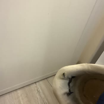 Kısa Sürede Deforme Olan Ayakkabı İçin Değişim Talebi Ve Müşteri Hizmetleri Memnuniyetsizliği