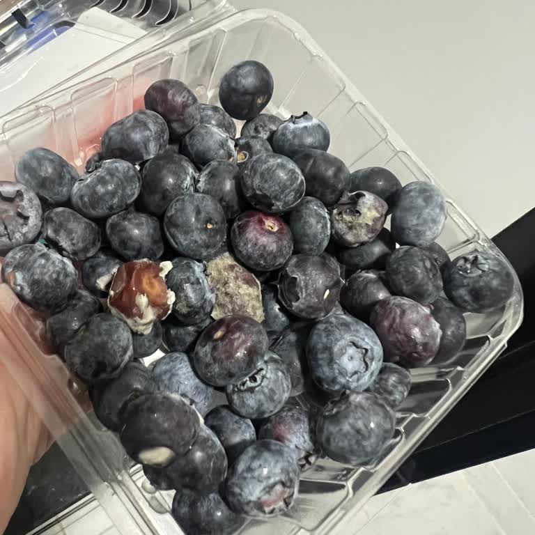 Son Kullanma Tarihi Geçmiş Ve Küflü Ürünle Karşılaştım: Gıda Güvenliği Riski