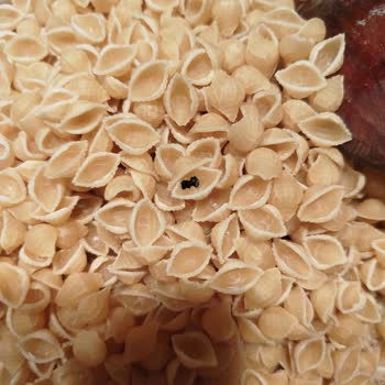 Pastavilla Makarnada Yabancı Cisim Çıkması Ve Güven Kaybı