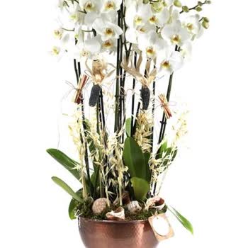 Söz Verilen Ürün Gönderilmedi, Güvenim Sarsıldı