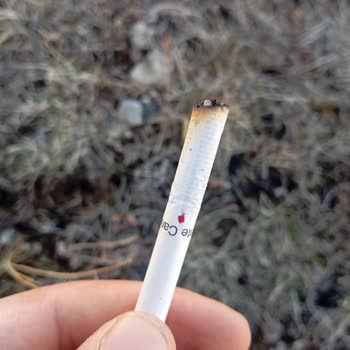 Monte Carlo Slender Sigarada Kırmızı Boya Lekesi Ve Acı Tat Sorunu