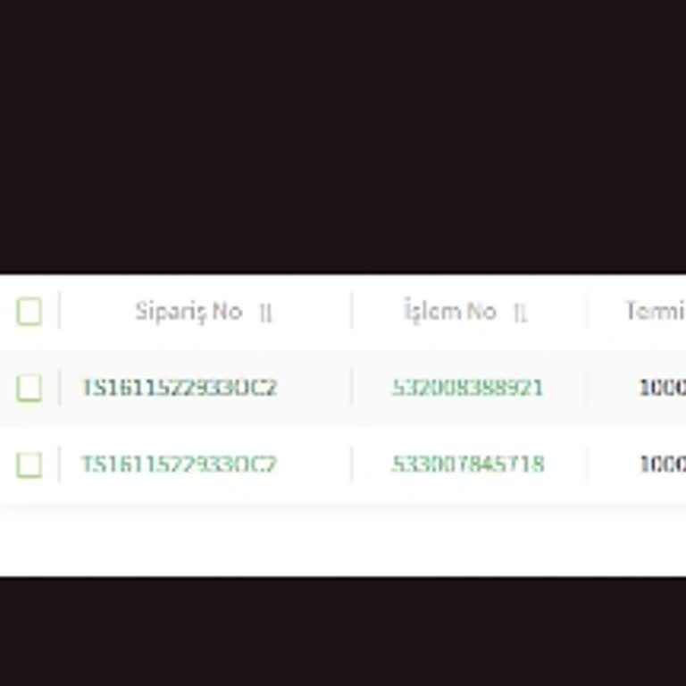 İade Edilmeyen Para Ve Dekont Sorunu Nedeniyle Mağduriyet