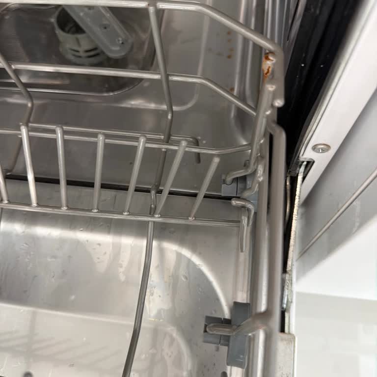 Franke Bulaşık Makinesinde Tekrarlayan Paslanma Ve Sağlık Endişesi