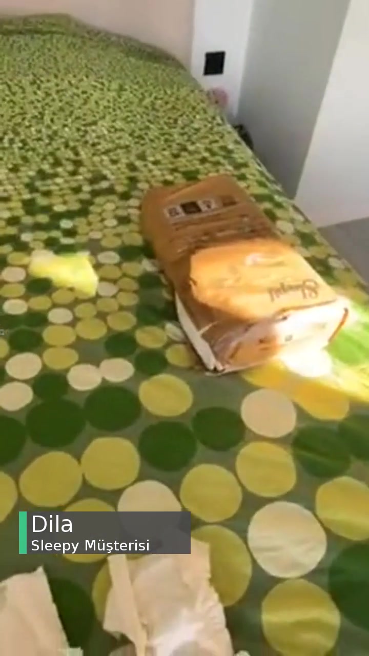 Sleepy Ecologic Bebek Bezi 4 Numara Hemen Parçalanıyor! videonun kapak resmi