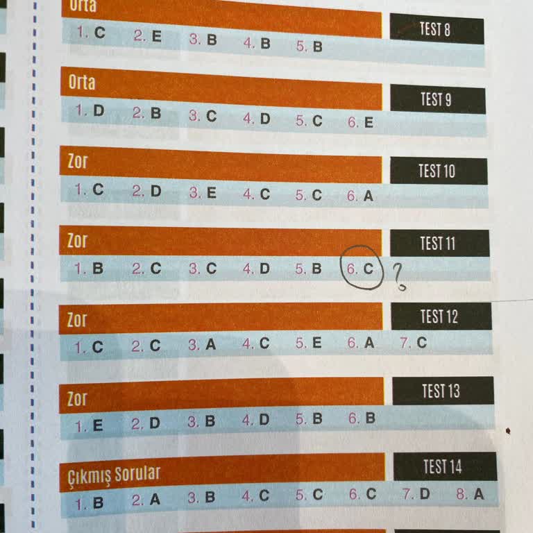 Cevap Anahtarı Ve Video Eksikliğiyle Mağdur Eden Paragraf Soru Bankası