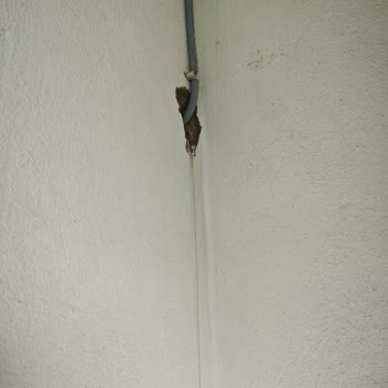 Montaj Hatası Sonucu Oluşan Su Kaçağı Ve Zararların Giderilmemesi