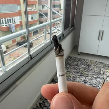 Parliament Sigaralarda Odun Parçası Çıkıyor Kalite Sorunu Endişelendiriyor