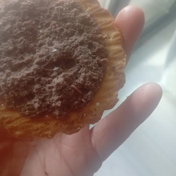 Son Kullanma Tarihi Geçmemiş Çokoprens'ten Kurt Çıkması Ve Hijyen Endişesi