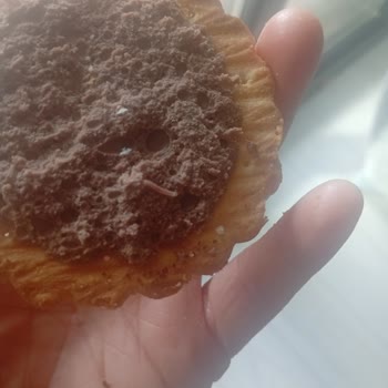 Son Kullanma Tarihi Geçmemiş Çokoprens'ten Kurt Çıkması Ve Hijyen Endişesi