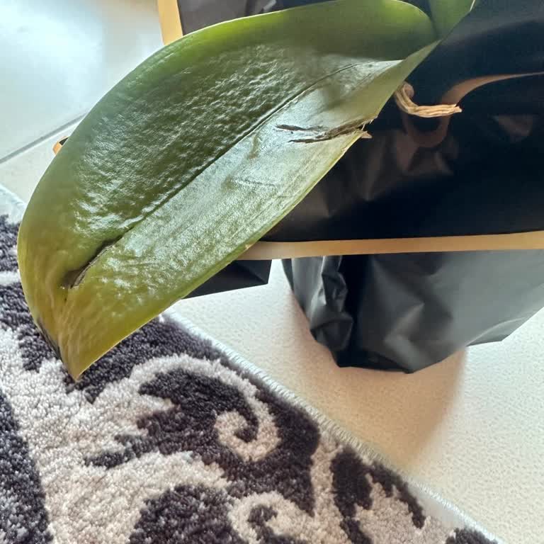 Siparişimde Kötü Ürün Ve İlgisiz Müşteri Hizmeti