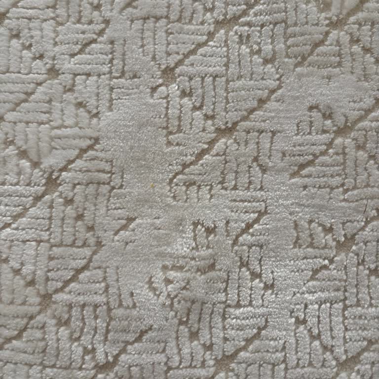 Gloria Halı Sürekli Tüy Döküyor Ve Sağlık Sorunlarına Yol Açıyor