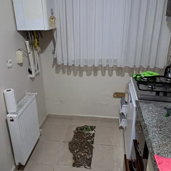 Sigorta Hasar Dosyası Sürecinde Belgelerle Uğraştırılıp Mağdur Edildim