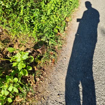 Çoruh Edaş Çalışması Nedeniyle Aracımda Oluşan Lastik Zararı Giderilsin