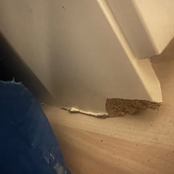 Uluslararası Taşımada Hasar, Kayıp Eşya Ve Hatalı Ücretlendirme Mağduriyeti