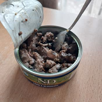 Kuru Ve Sert Çıkan Kedi Maması İçin Değişim Talebi