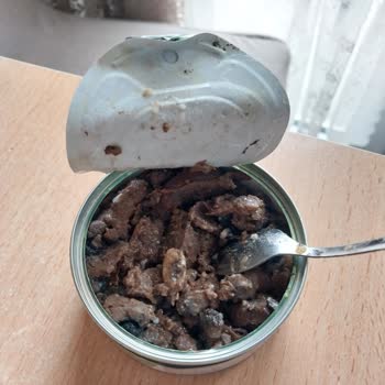 Kuru Ve Sert Çıkan Kedi Maması İçin Değişim Talebi